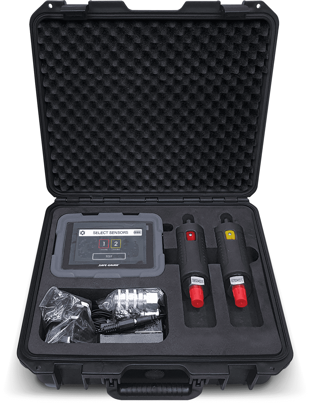 SafeTest PT2 Kit